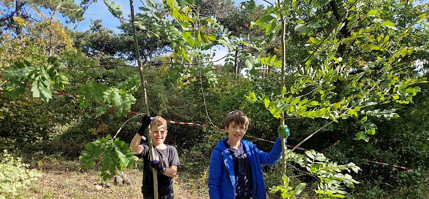 Kinder posieren mit abgeschnittenen Gehölzen