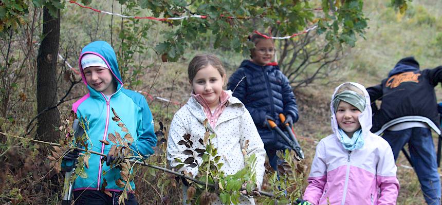 Kinder halten jungen Baum