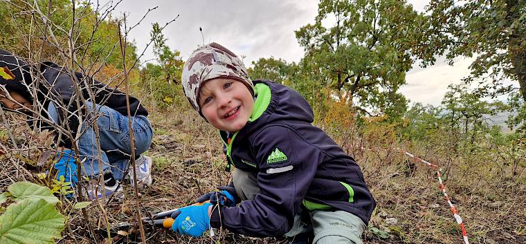 Die jungen Helfer wussten genau: die Sträucher müssen möglichst bodennah abgeschnitten werden, damit es keine Stolperfallen für die Schafe gibt. © LPV/V. Pellarin Kind arbeitet mit Astschere