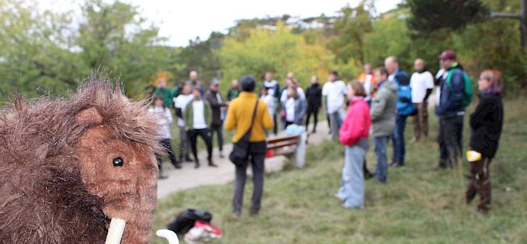 Was das Mammut mit dem Trockenrasen zu tun hat, erfahren die freiwilligen Helfer:innen von unserer Biologin Irene Drozdowski. © LPV/L. Strobl Stoffmammut vor Menschengruppe