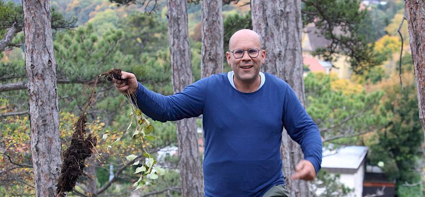 Mann mit ausgegrabenen Wurzeln