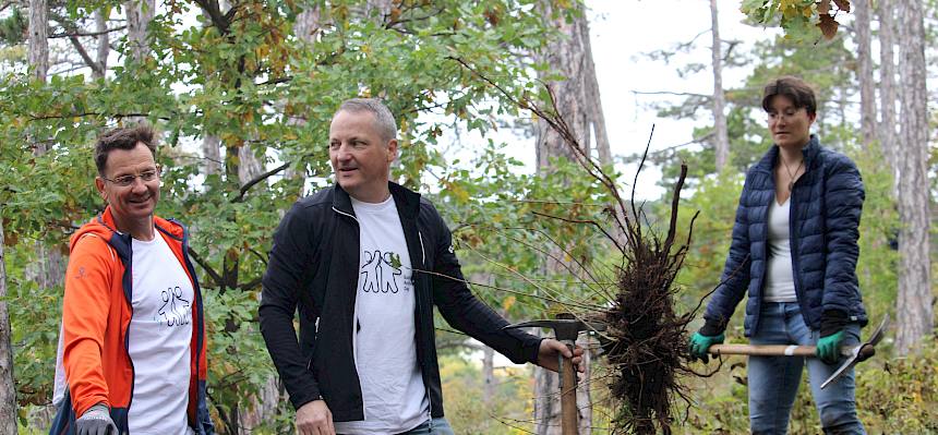 Männer mit ausgegrabenen Strauch