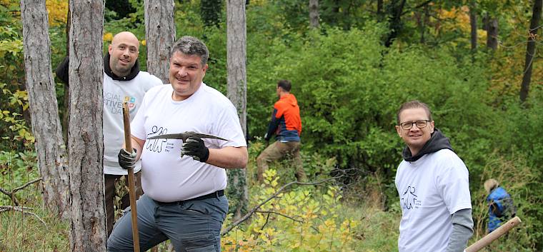Hier werden Kräfte frei - da wird schon einmal das Werkzeug in Mitleidenschaft gezogen. © LPV/F. Hohn Männer mit Kampen