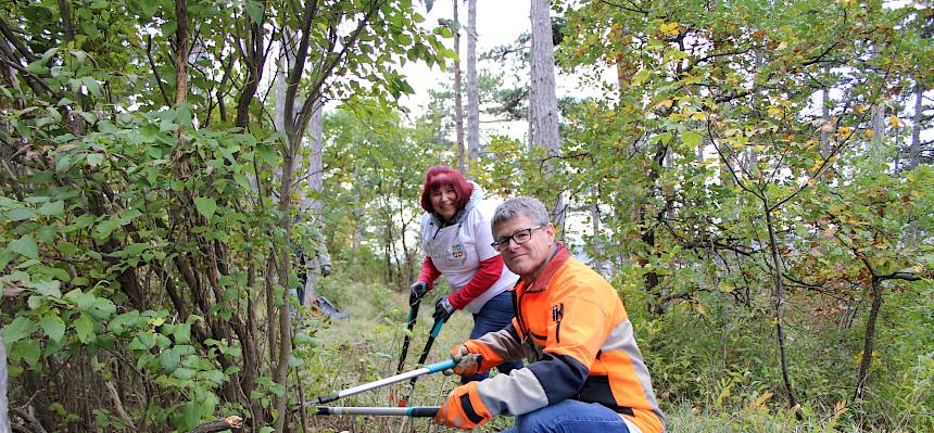 Menschen arbeiten mit Astschere