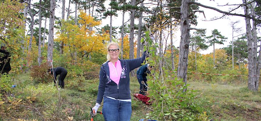 Frau trägt abgeschnittenen Ast