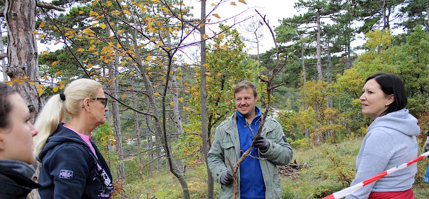 Menschen stehen im Wald und reden