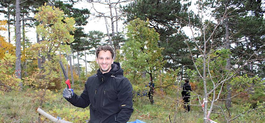 Mann mit Säge und Ast