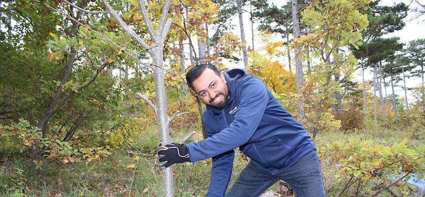 Mann sägt dünnen Baum ab