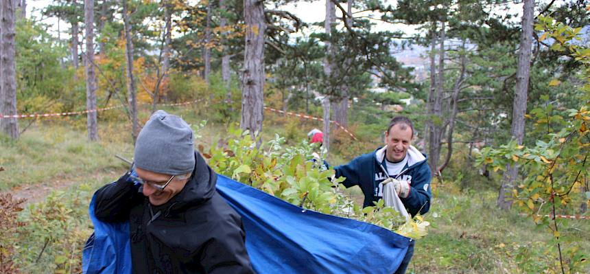 Männer tragen Plane mit Schnittgut