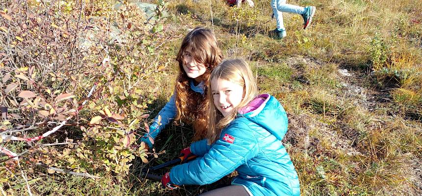 Mädchen schneiden Büsche