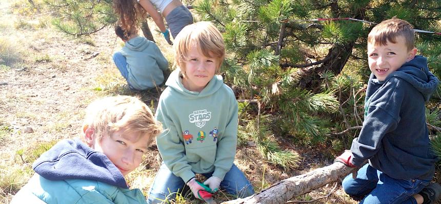 Kinder sägen Baumstamm ab