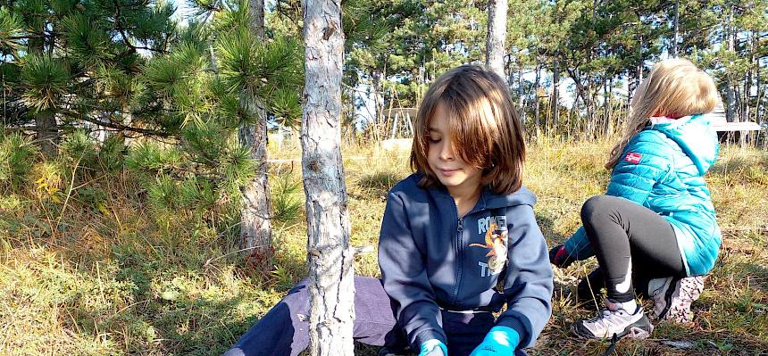 Kind sägt dünnen Baumstamm ab