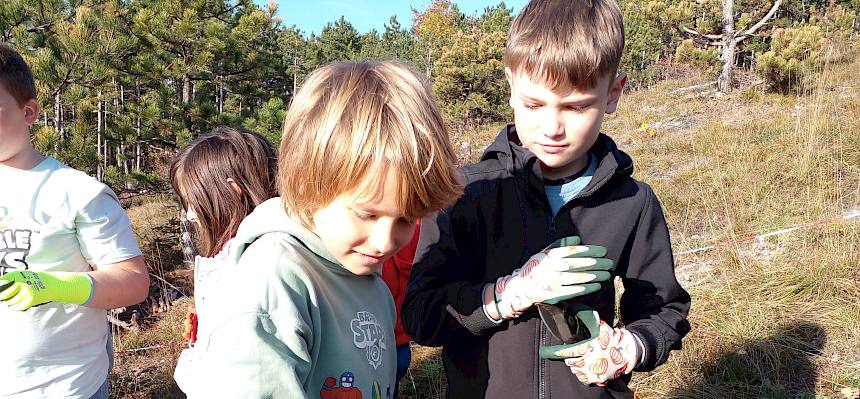 Kind mit Gottesanbeterin am Arm