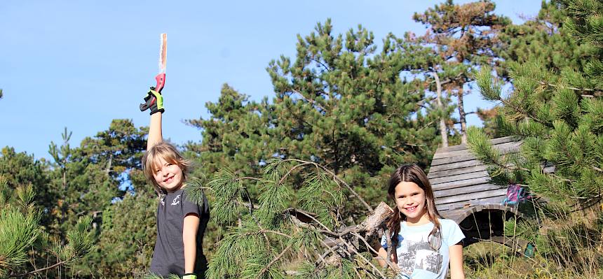 Kinder tragen abgeschnittene Föhre