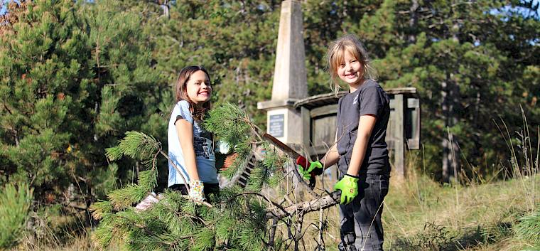 Gemeinsam wurden die abgeschnittenen Föhren von der Fläche getragen. © LPV/F. Hohn Mädchen tragen Ast einer Föhre