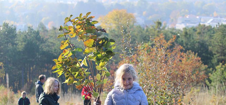 Mädchen trägt großen Ast