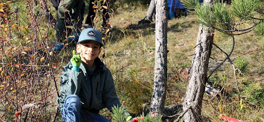 Kind sägt Baumstamm