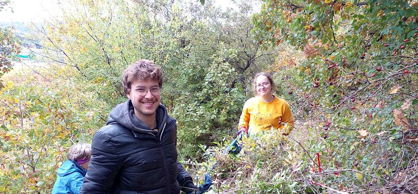 Menschen tragen Plane mit Schnittgut