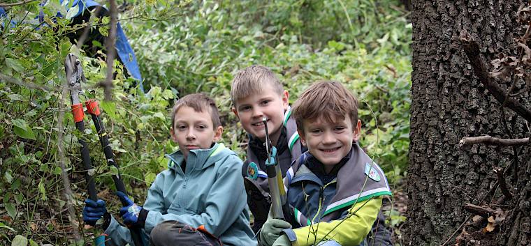 Heute wurde im Teamwork viel weitergebracht. © LPV/F. Hohn Kinder mit Astscheren