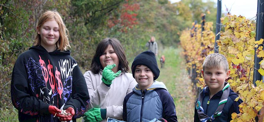 Kinder haben Hasenknochen gefunden
