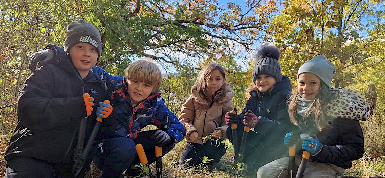 Schüler:innen bei der Trockenrasenpflege