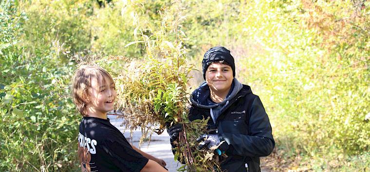 Schüler packen Goldruten in Müllsack