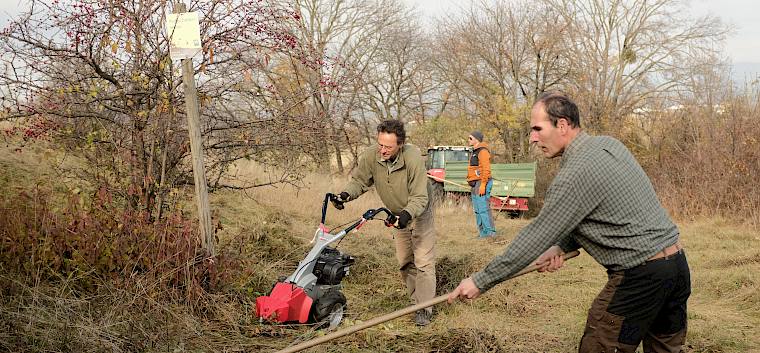 Freiwillige mit Rechen und Balkenmäher