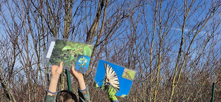 Schüler mit Strauch und Folien