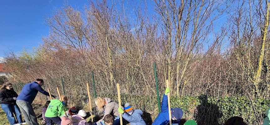 Kinder pflanzen Heckensträucher