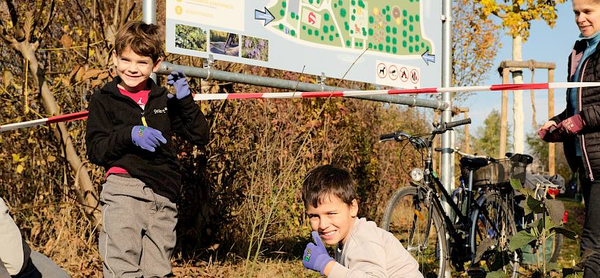 Schüler pflanzen Strauch