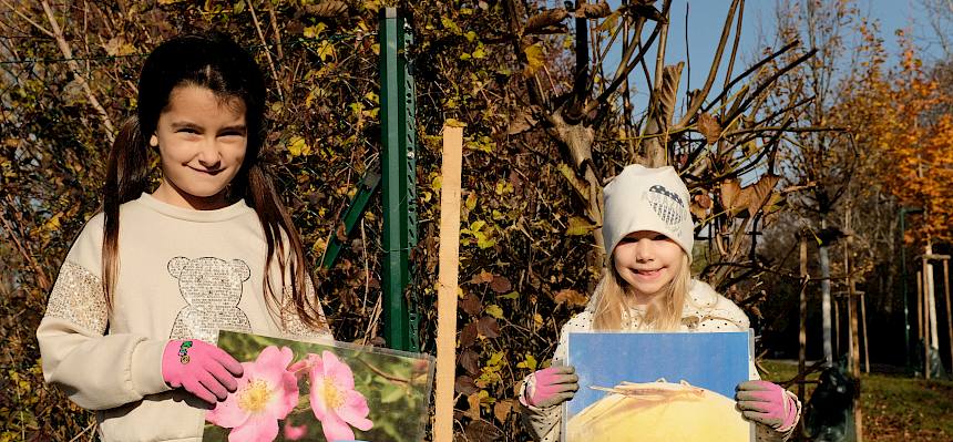 Schülerinnen mit Folien