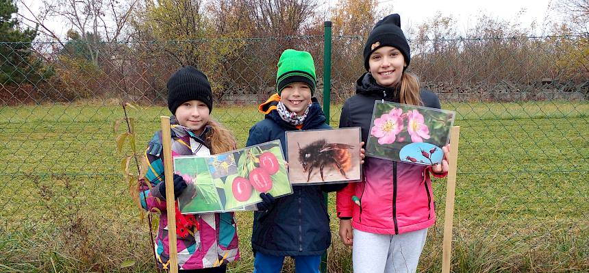 Schüler:innen mit Strauch und Folien