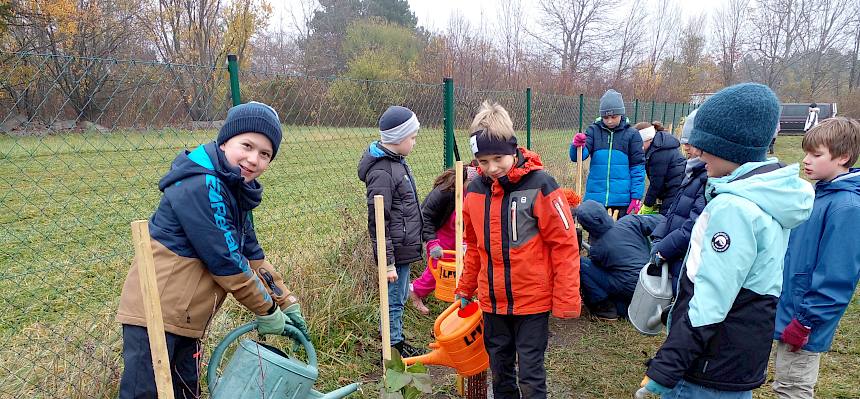 Schüler gießt Strauch