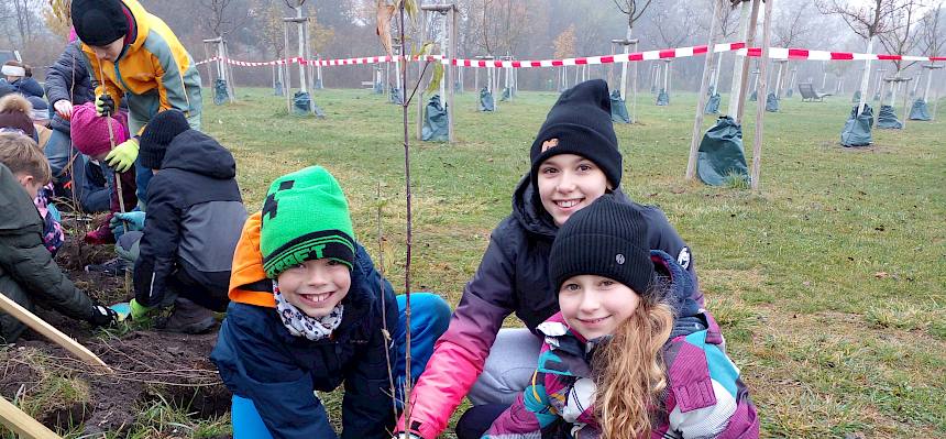 Schüler:innen pflanzen Heckenstrauch