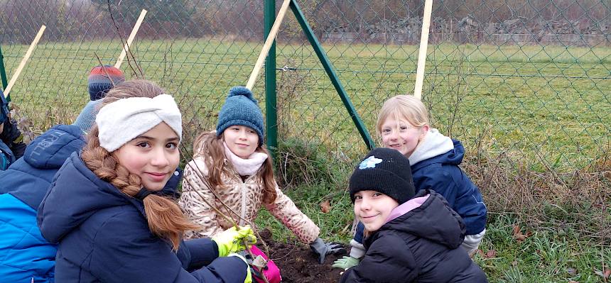 Pflanzung von Sträuchern