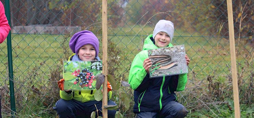 Schüler mit gepflanztem Strauch und Folien.
