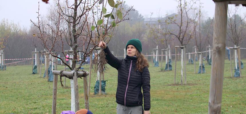 Naturpädagogin hält Strauch hoch