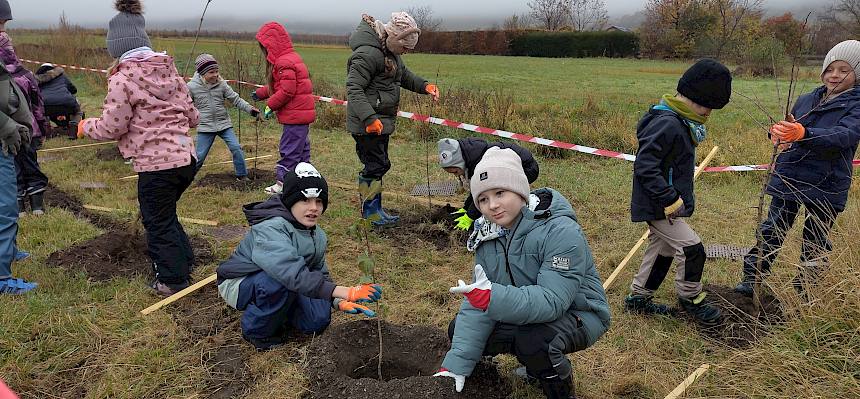 Schüler:innen pflanzen Heckenstrauch