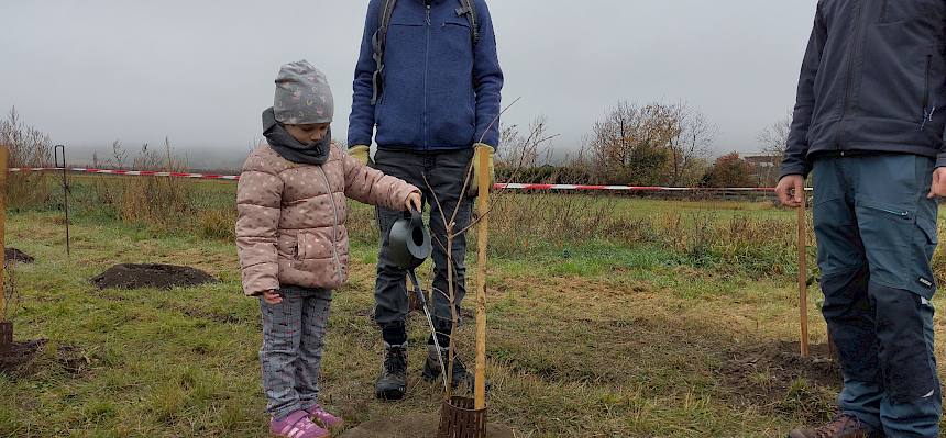 Kindergartenkinder gießen Sträucher