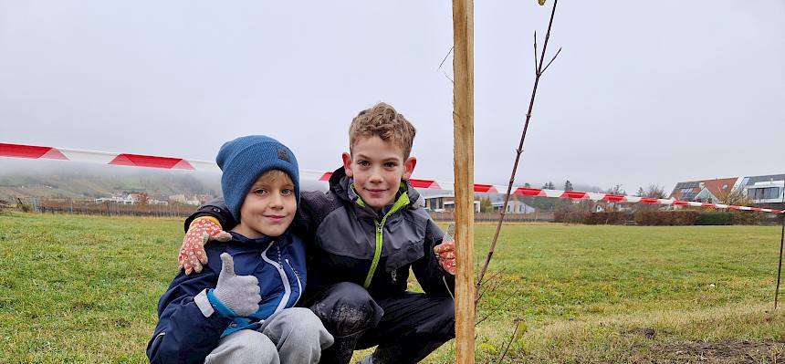 Fertig gepflanzter Strauch.