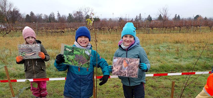 Kinder mit Bildern von Sträuchern und Tieren