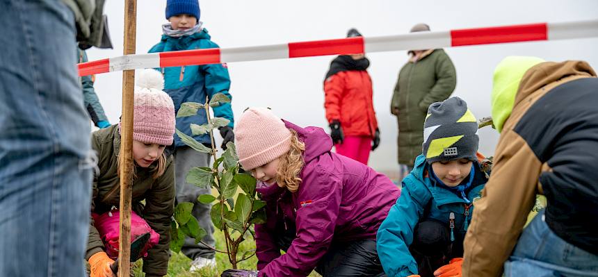 Schüler:innen pflanzen Heckensträucher