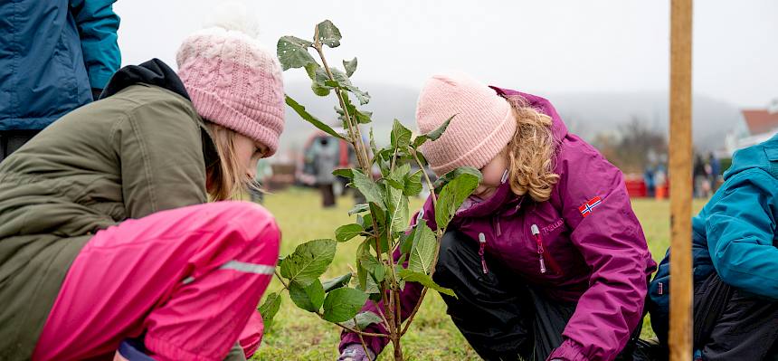 Schüler:innen pflanzen Heckensträucher