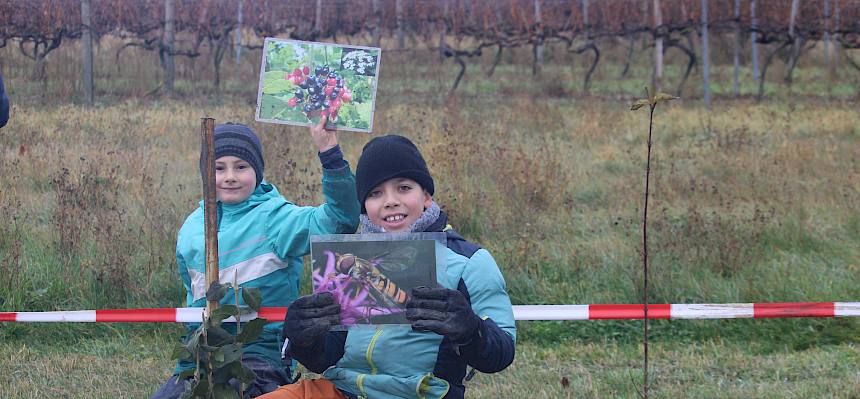 Schüler mit Schwebfliegen-Folie