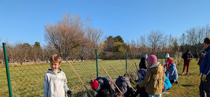 Schüler:innen pflanzen Heckensträucher
