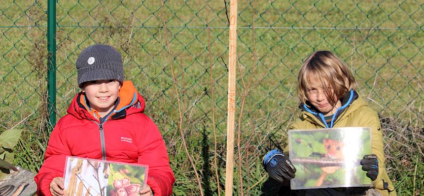 Schüler mit Folien Haselmaus und Haselstrauch