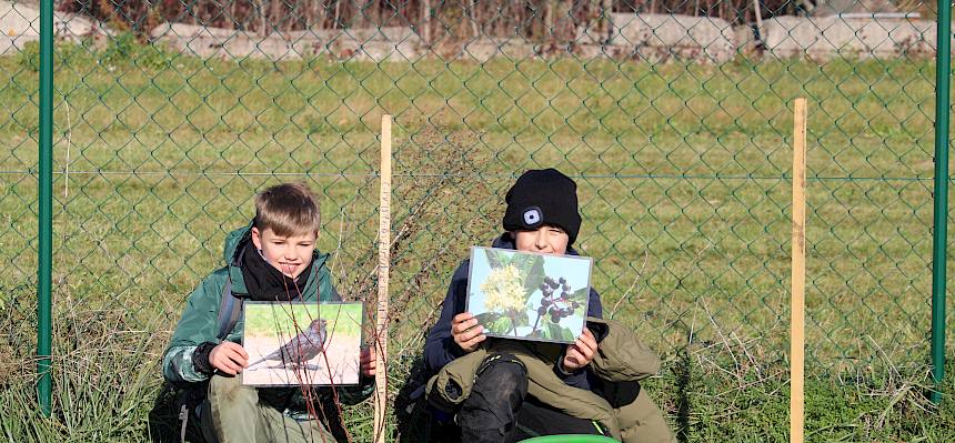 Schüler mit Folien von Amsel und Hartriegel