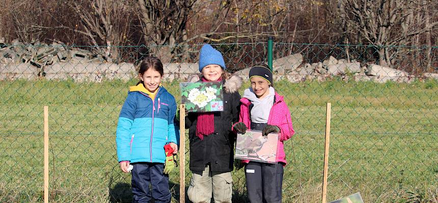 Schüler:innen mit gepflanztem Strauch