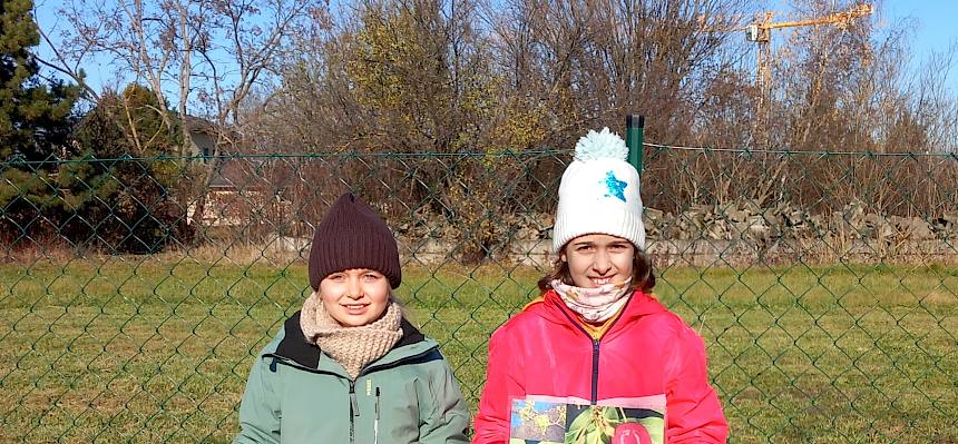 Folie Wildbiene und Kornelkirsche