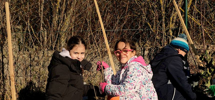 Teamwork beim Pflanzen